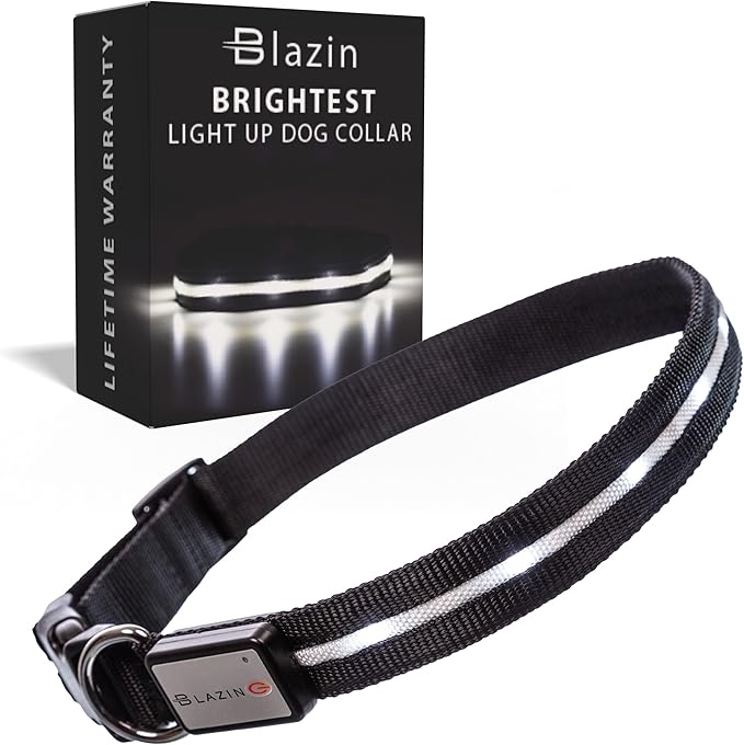 Blazin Light-Up Dog Training Collar