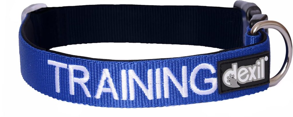 Dexil Best Dog Training Collar