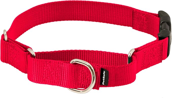 PetSafe Martingale Collar with Quick Snap Buckle