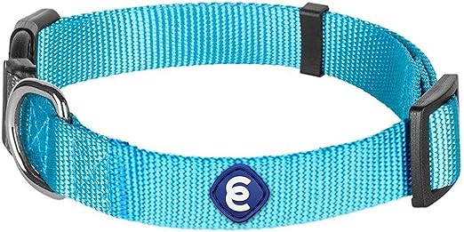 Blueberry Pet Essentials Adjustable Collar