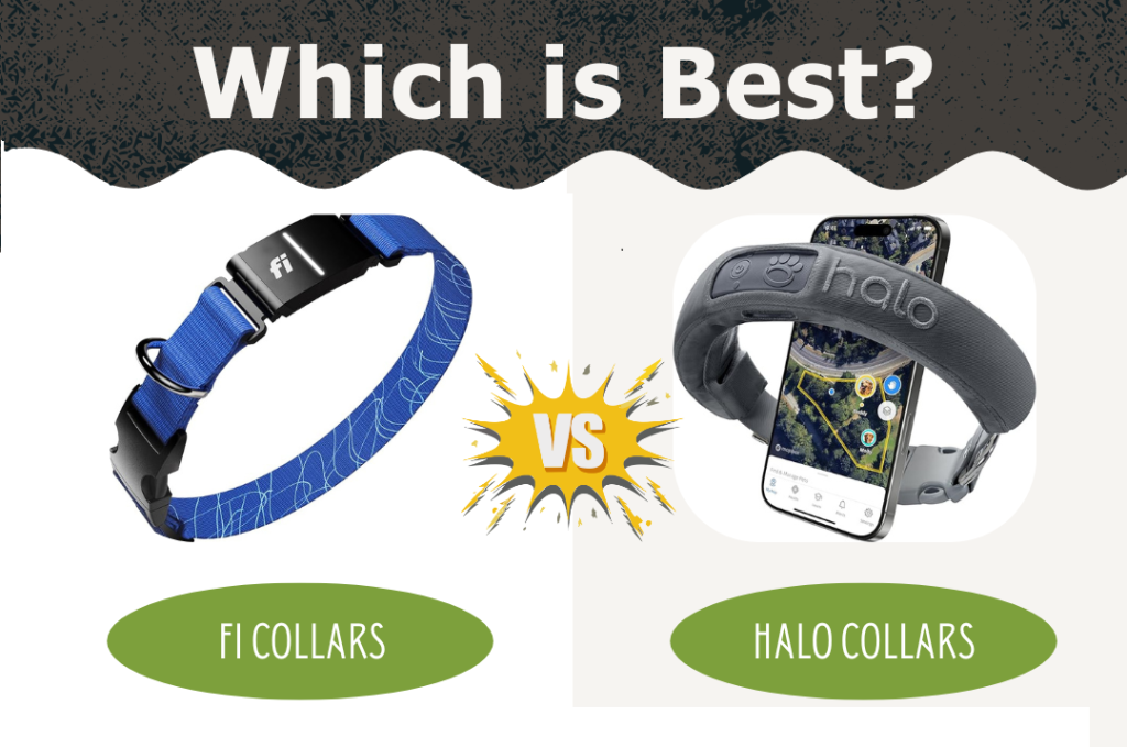 Fi vs Halo Collar: Which Smart Dog Collar Is Worth Your Money
