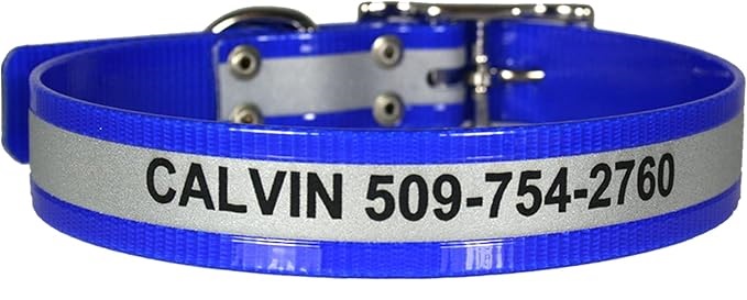 GOTAGS Personalized Reflective Waterproof Collar
