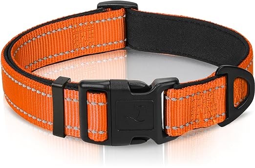 Joytale Neoprene Padded Nylon Collar