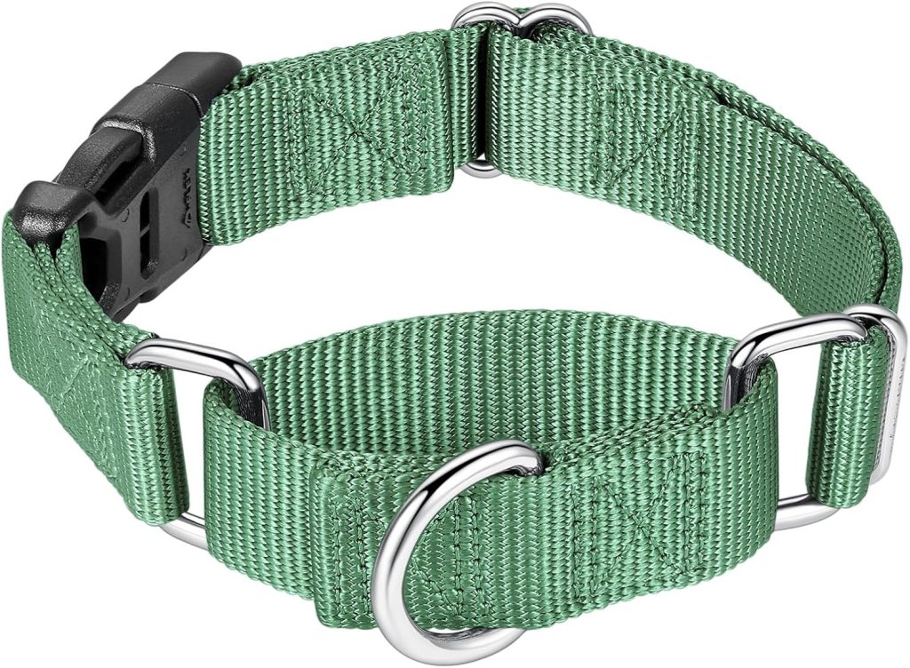Martingale Dog collar 