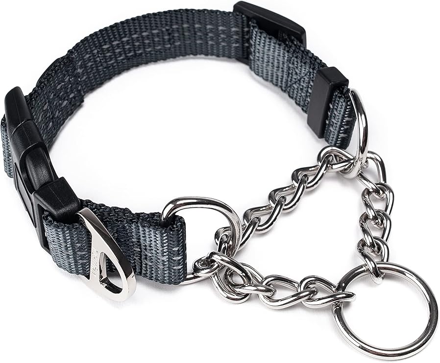 Mighty Paw Martingale Dog Collar 2.0