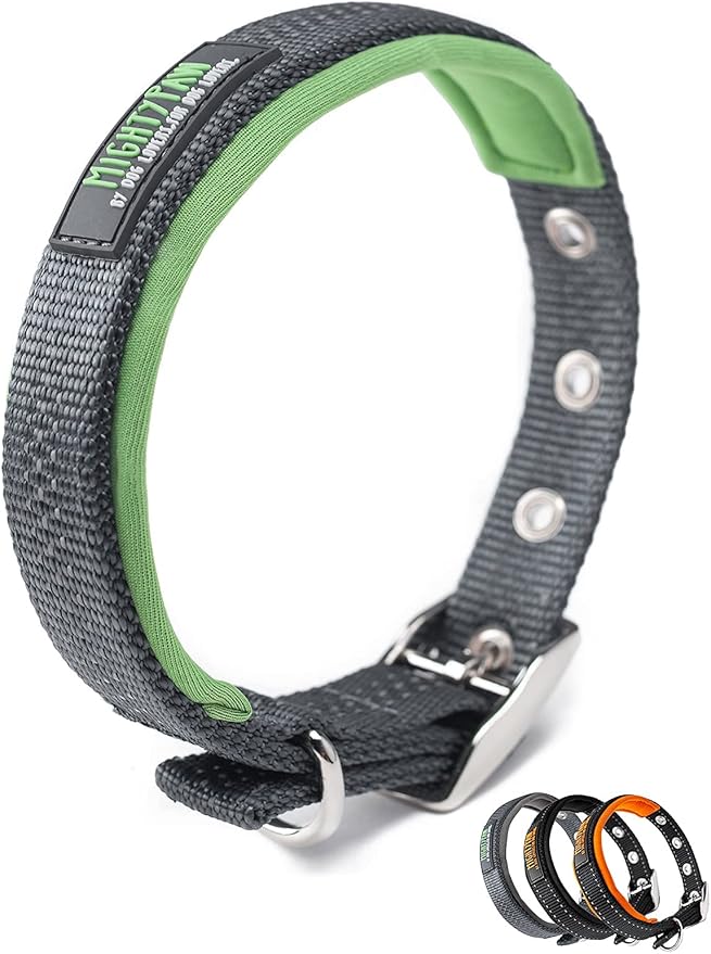 Mighty Paw Sport Collar 2.0