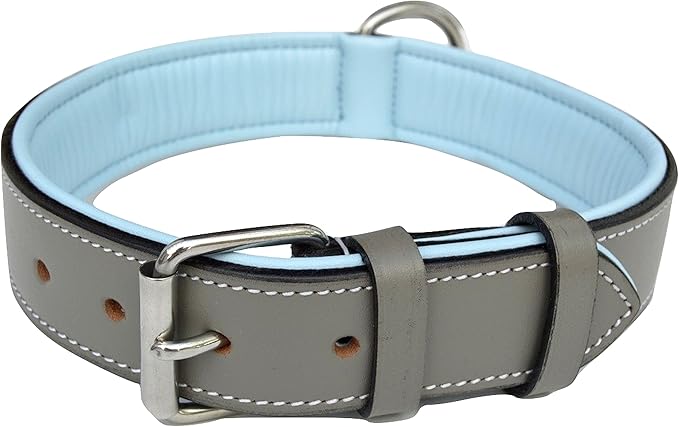 Padded Leather Dog Collar (Gray & Blue)