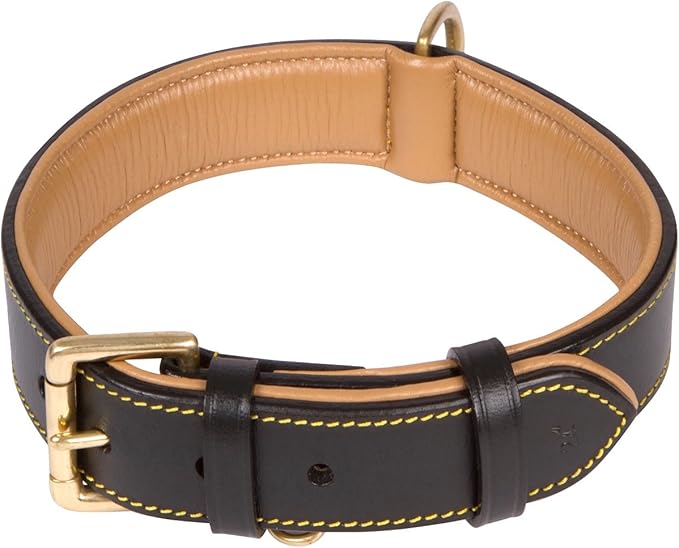 Soft Touch Collars Leather Padded Collar for Sensative Dogs