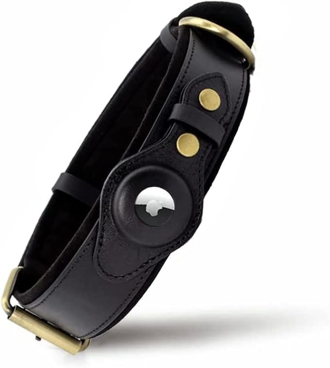 Black leather dog collar with a secure AirTag holder and brass buckle, one of the Best AirTag Dog Collars