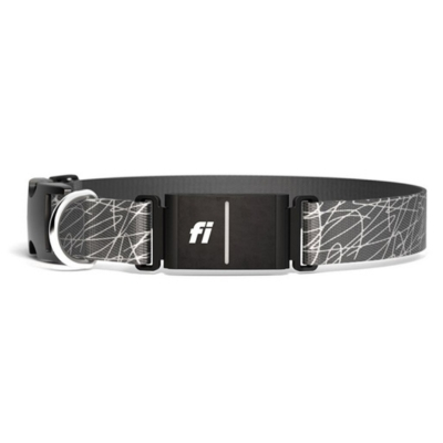 Fi dog collar vs Whistle comparison showing a close-up of the Fi dog collar design