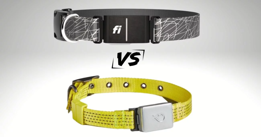 Fi Dog Collar vs Whistle – A Complete Comparison Guide for Dog Owners