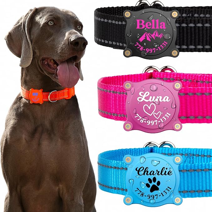 Montage of a Weimaraner wearing an orange collar and close-ups of three personalized AirTag collars (black, pink, and blue) with custom engraved ID tags