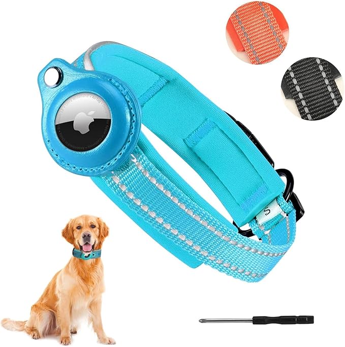 Blue reflective dog collar with AirTag holder, modeled on a Golden Retriever, one of the Best AirTag Dog Collars