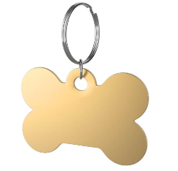 Can Cats Wear Collars?Things All Pet Owners Need to Know, close-up of a cat ID tag.