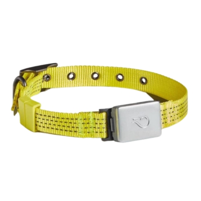 Fi dog collar vs Whistle comparison featuring a close-up of the yellow Whistle dog collar