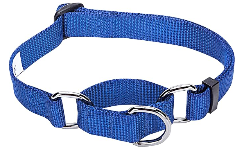 A black chain martingale or half-check collar, a common style of the Best Martingale Collars for Dogs, featuring a metal chain control loop