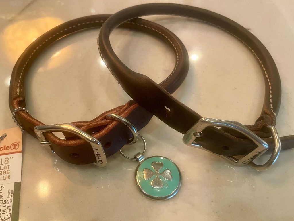 Two dark brown Coastal Pet Circle T Oak Tanned rolled leather dog collars with silver buckles and a light green shamrock ID tag