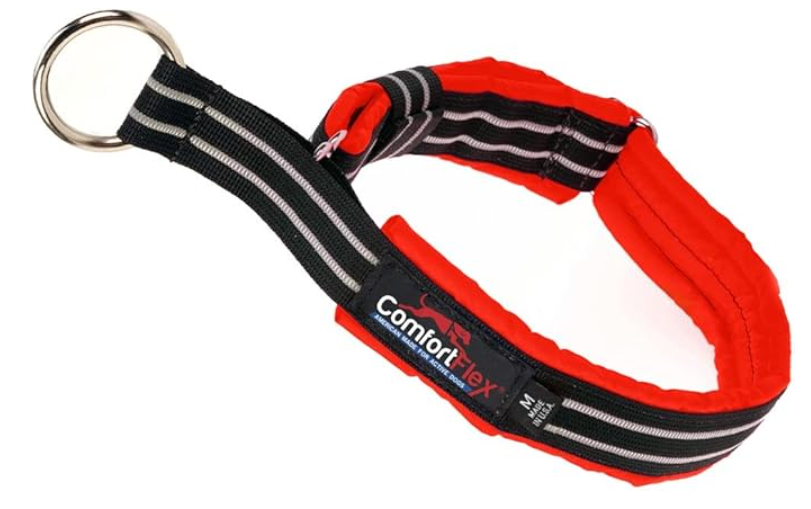 Padded red ComfortFlex Martingale Collar, one of the Best Martingale Collars for Dogs for added comfort