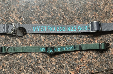 Personalized embroidered dog collars, the Best Dog Collar for Golden Retriever.