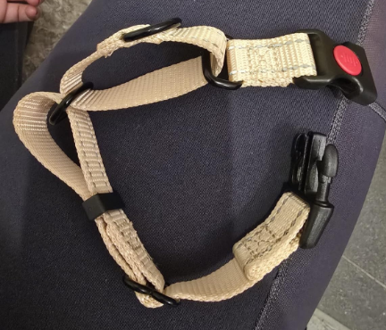 A brown leather and metal chain martingale collar with a traditional buckle, a premium option among the Best Martingale Collars for Dogs