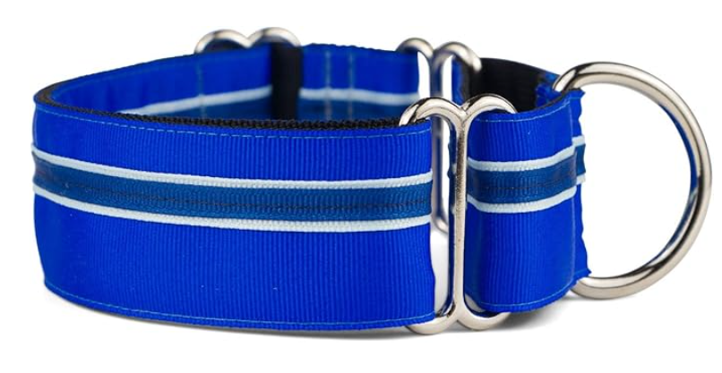 "A wide, designer-patterned fabric martingale collar, a preferred style of the Best Martingale Collars for Dogs for Sighthounds and large breeds