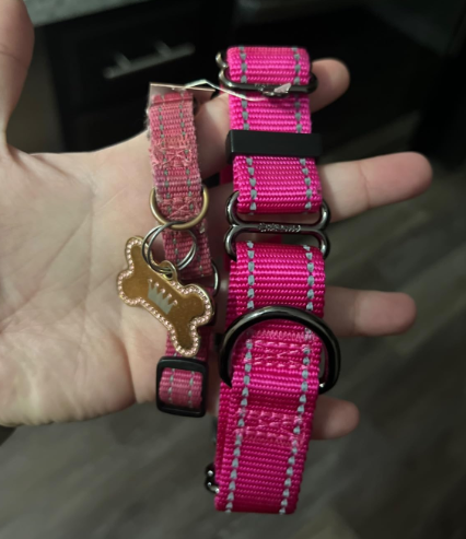 A pink and black reflective Haapaw Martingale Collar with a quick release safety buckle, one of the Best Martingale Collars for Dogs that features a safety lock