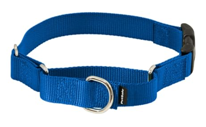 Blue PetSafe Martingale Collar with a quick-snap buckle, one of the Best Martingale Collars for Dogs